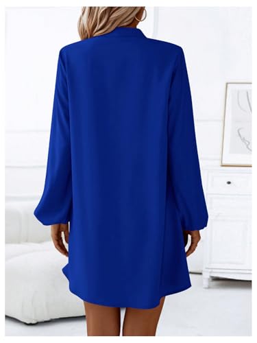 31jAt8GzVAL.jpg Women's V Neck Pullover Shirt Dress A Line Long Lantern Sleeve Flared Loose Mini Dresses