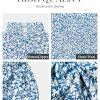 Women Floral Summer Maxi Jumpsuit with Pocket Mock Neck Elastic Waist Wide Leg Business Wedding Casual Holiday Dressy